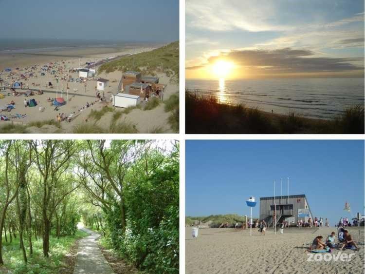 Sea The Sea - Feel The Sea - Touch The Sea * Bredene