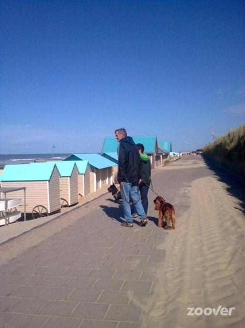 Sea The Sea - Feel The Sea - Touch The Sea Appartement *